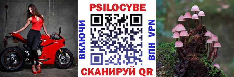 Галлюциногенные грибы Cubensis  Микунь 